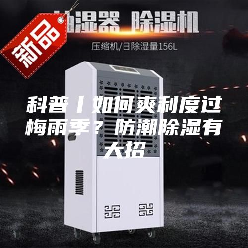 科普丨如何爽利度過梅雨季?防潮除濕有大招