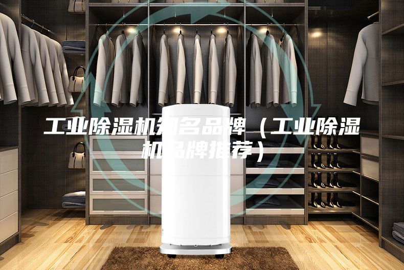 工業(yè)除濕機(jī)知名品牌(工業(yè)除濕機(jī)品牌推薦)