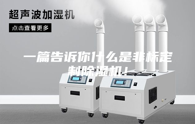 一篇告訴你什么是非標定制除濕機！