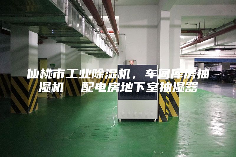 仙桃市工業(yè)除濕機,車間庫房抽濕機 配電房地下室抽濕器