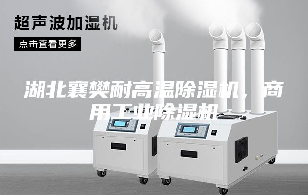 湖北襄樊耐高溫除濕機,商用工業除濕機