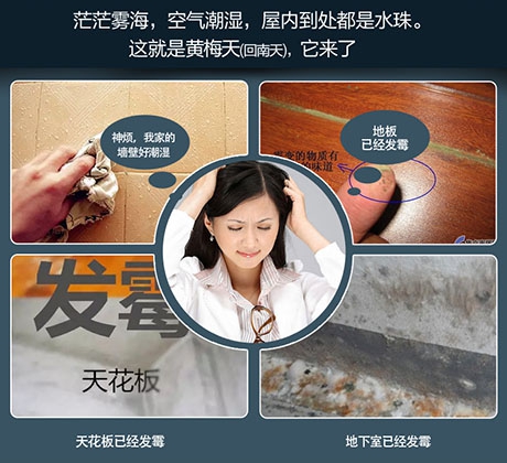 梅雨季，除濕機助你除潮去濕