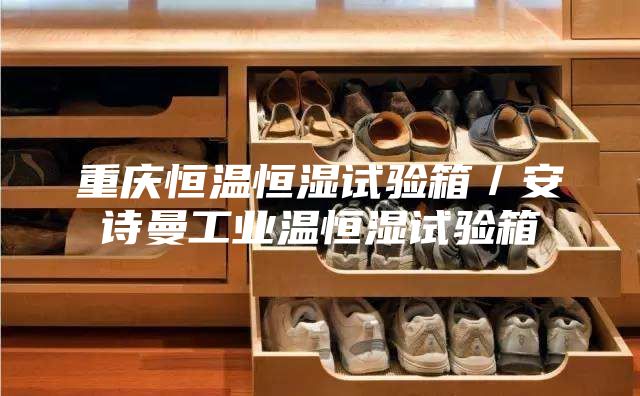 重慶恒溫恒濕試驗箱/安詩曼工業溫恒濕試驗箱