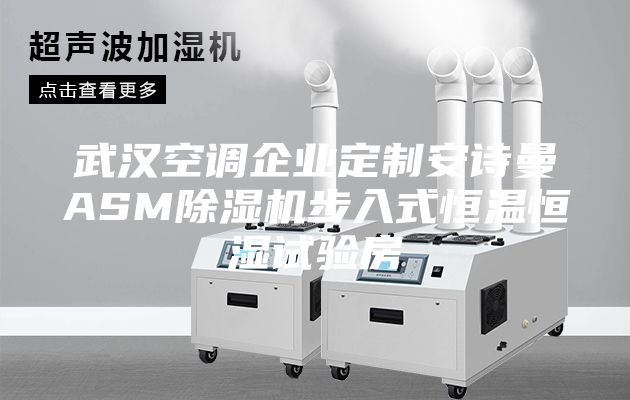 武漢空調企業定制安詩曼ASM除濕機步入式恒溫恒濕試驗房