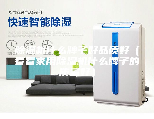 除濕機什么牌子好品質(zhì)好(看看家用除濕機什么牌子的質(zhì)量好)
