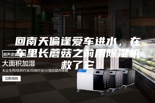 回南天偏逢愛(ài)車(chē)進(jìn)水，在車(chē)?yán)镩L(zhǎng)蘑菇之前用除濕機(jī)救了它