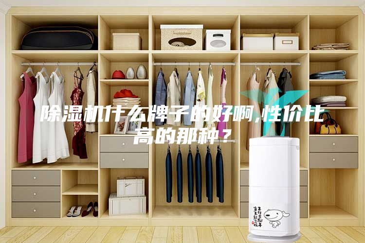 除濕機什么牌子的好啊,性價比高的那種？