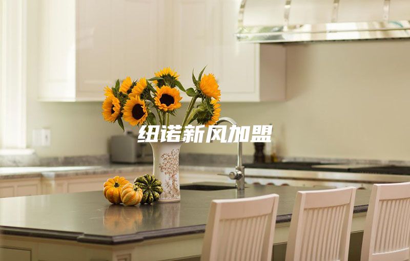 紐諾新風(fēng)加盟
