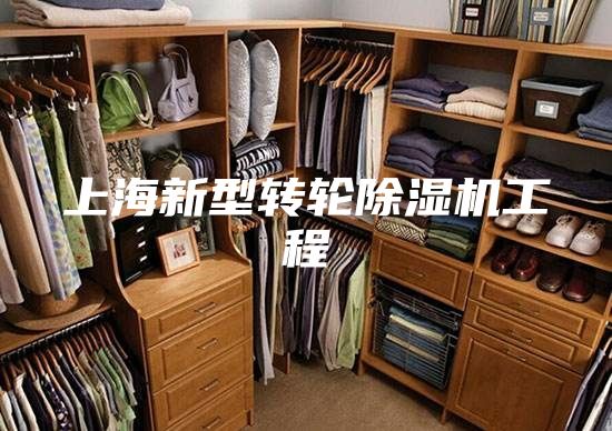 上海新型轉(zhuǎn)輪除濕機工程