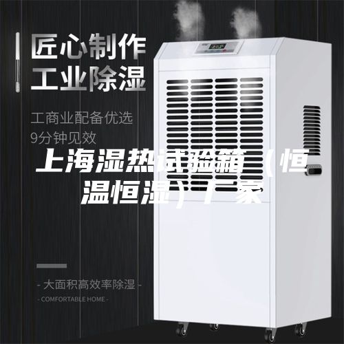 上海濕熱試驗(yàn)箱（恒溫恒濕）廠家