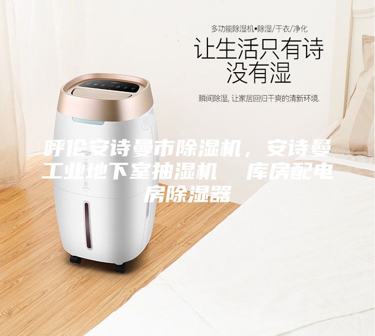 呼倫安詩曼市除濕機，安詩曼工業地下室抽濕機  庫房配電房除濕器