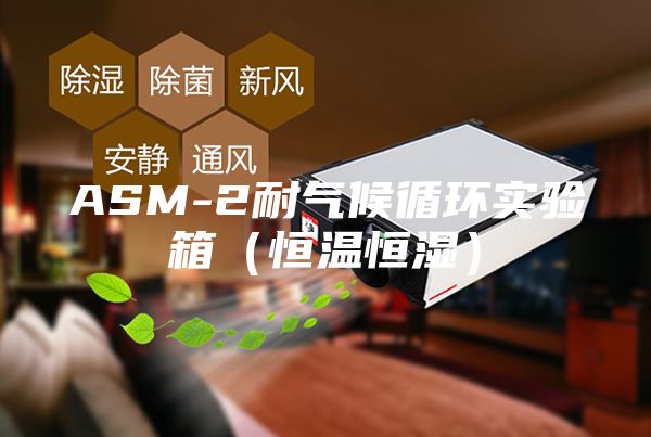 ASM-2耐氣候循環(huán)實驗箱（恒溫恒濕）