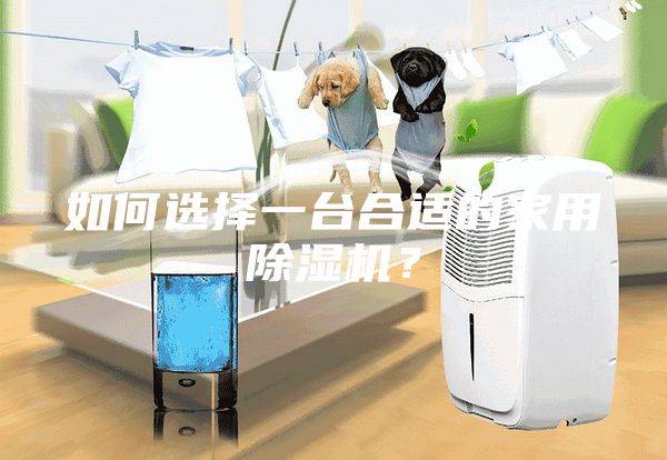 如何選擇一臺(tái)合適的家用除濕機(jī)?