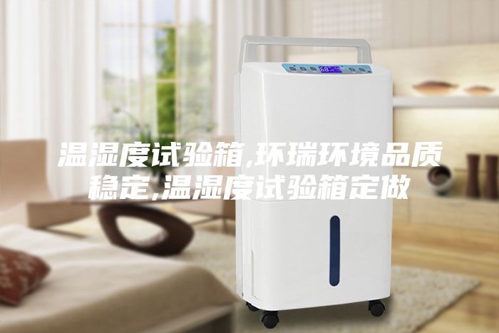 溫濕度試驗箱,環瑞環境品質穩定,溫濕度試驗箱定做