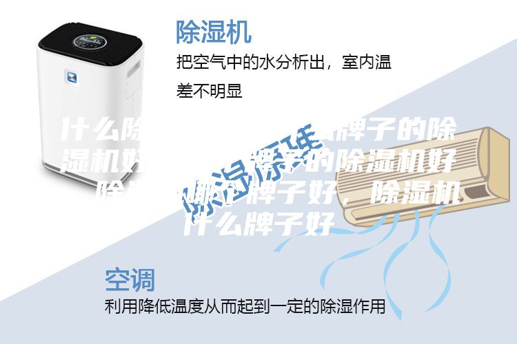 什么除濕機好，什么牌子的除濕機好，哪個牌子的除濕機好，除濕機哪個牌子好，除濕機什么牌子好