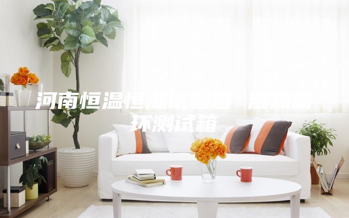 河南恒溫恒濕試驗(yàn)箱 濕熱循環(huán)測試箱