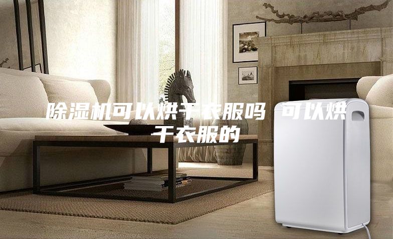 除濕機(jī)可以烘干衣服嗎 可以烘干衣服的
