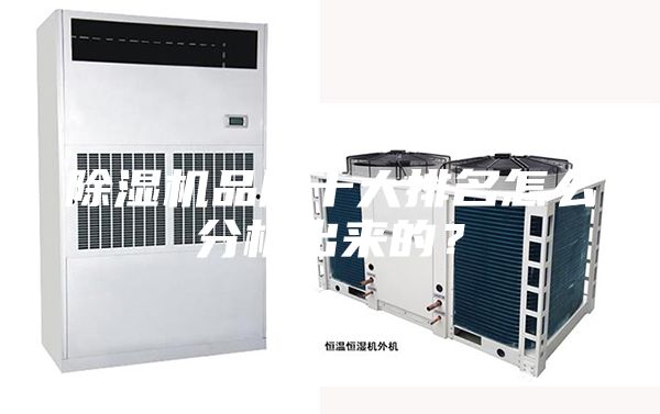 除濕機品牌十大排名怎么分析出來的?