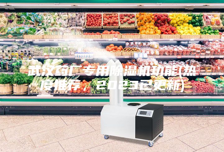 武漢藥廠專用除濕機功能(熱度推薦,2023已更新)