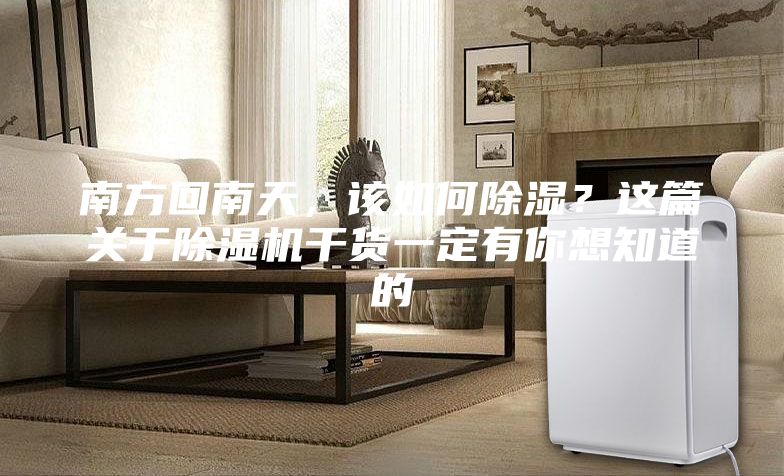 南方回南天，該如何除濕？這篇關(guān)于除濕機(jī)干貨一定有你想知道的