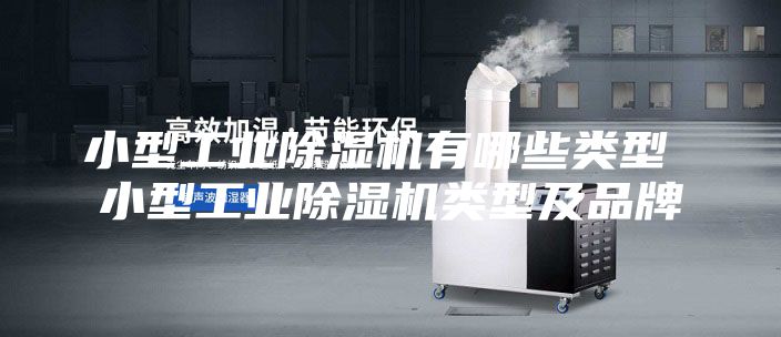 小型工業(yè)除濕機(jī)有哪些類型 小型工業(yè)除濕機(jī)類型及品牌