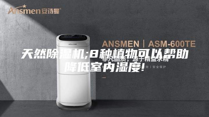 天然除濕機;8種植物可以幫助降低室內(nèi)濕度!