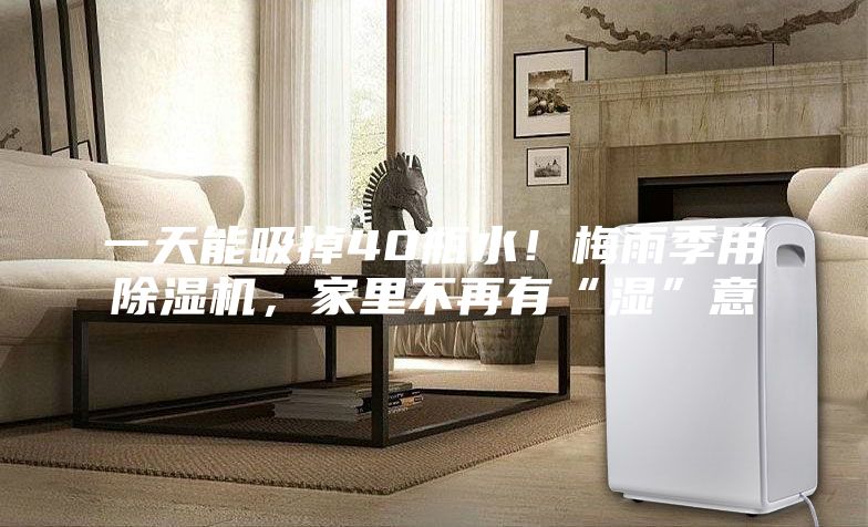 一天能吸掉40瓶水!梅雨季用除濕機,家里不再有“濕”意