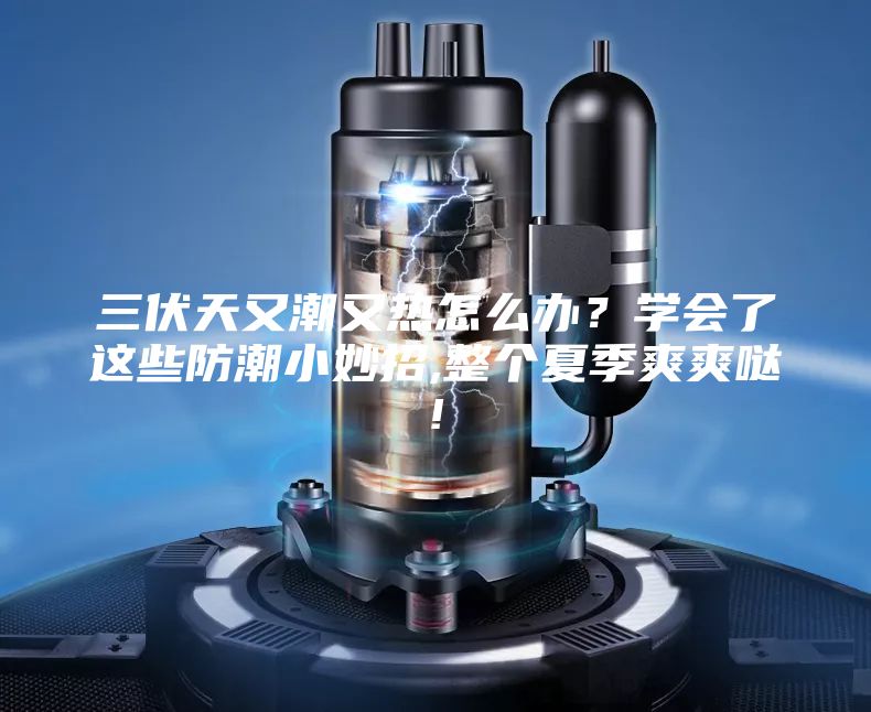 三伏天又潮又熱怎么辦？學(xué)會了這些防潮小妙招,整個夏季爽爽噠!