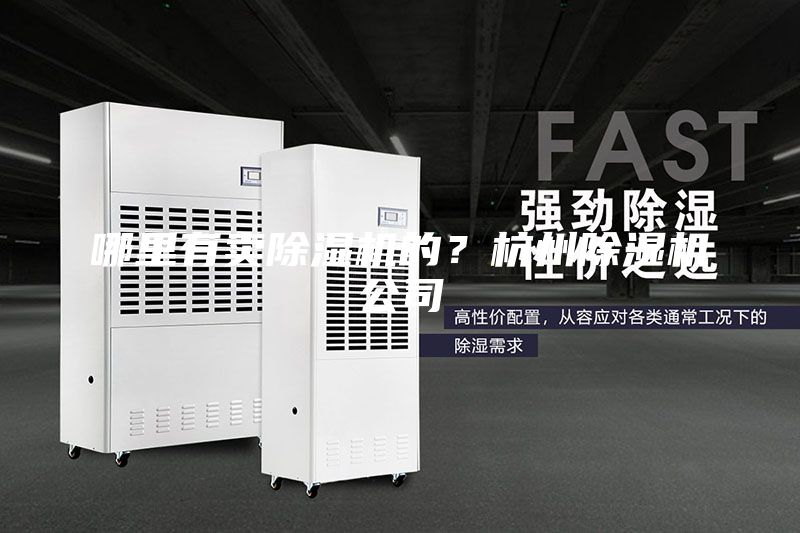 哪里有賣除濕機(jī)的?杭州除濕機(jī)公司