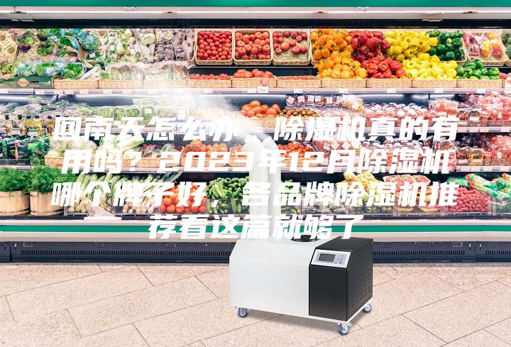 回南天怎么辦，除濕機真的有用嗎？2023年12月除濕機哪個牌子好，各品牌除濕機推薦看這篇就夠了