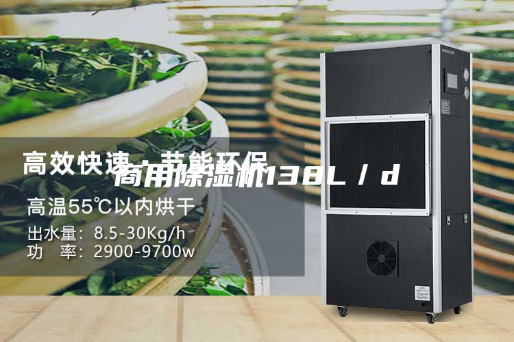 商用除濕機(jī)138L／d
