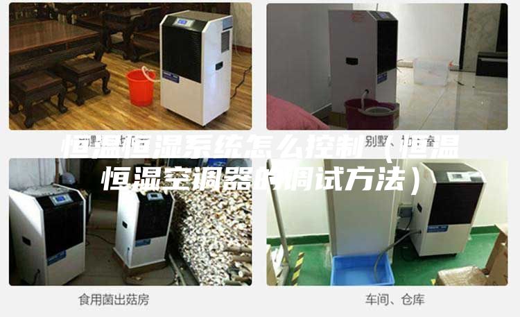 恒溫恒濕系統怎么控制(恒溫恒濕空調器的調試方法)