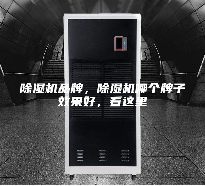 除濕機品牌，除濕機哪個牌子效果好，看這里