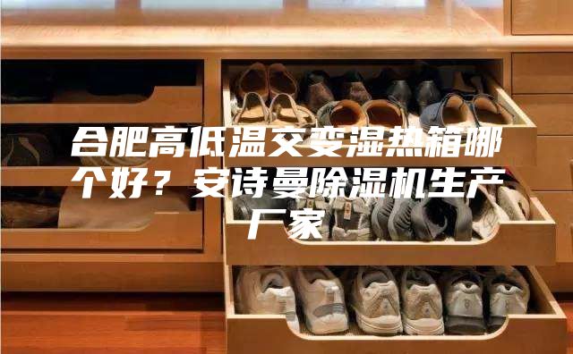 合肥高低溫交變濕熱箱哪個好？安詩曼除濕機生產(chǎn)廠家