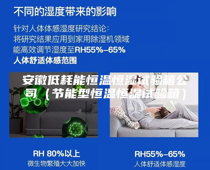 安徽低耗能恒溫恒濕試驗箱公司（節(jié)能型恒溫恒濕試驗箱）