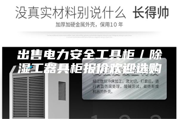 出售電力安全工具柜/除濕工器具柜報價歡迎選購
