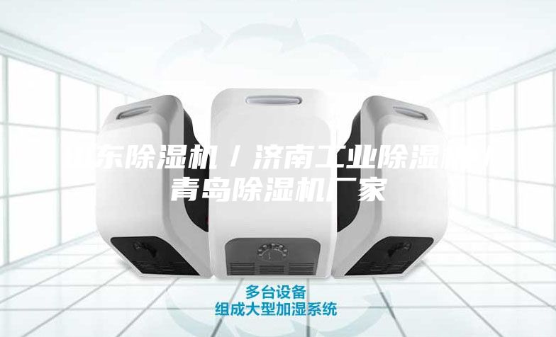 山東除濕機(jī)／濟(jì)南工業(yè)除濕機(jī)／青島除濕機(jī)廠(chǎng)家