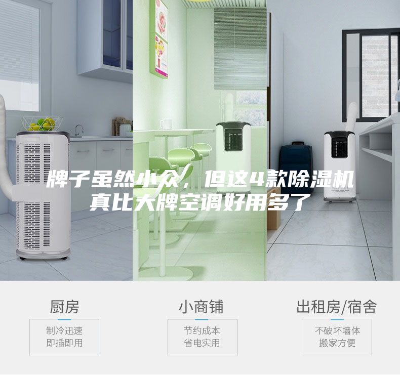 牌子雖然小眾，但這4款除濕機真比大牌空調(diào)好用多了