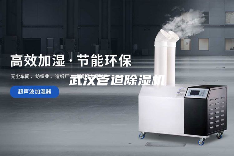 武漢管道除濕機(jī)