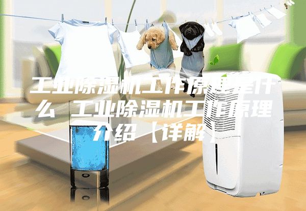 工業除濕機工作原理是什么 工業除濕機工作原理介紹【詳解】