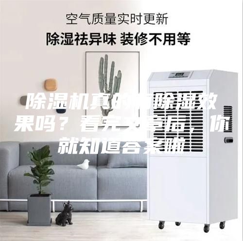 除濕機(jī)真的有除濕效果嗎？看完文章后，你就知道答案啦