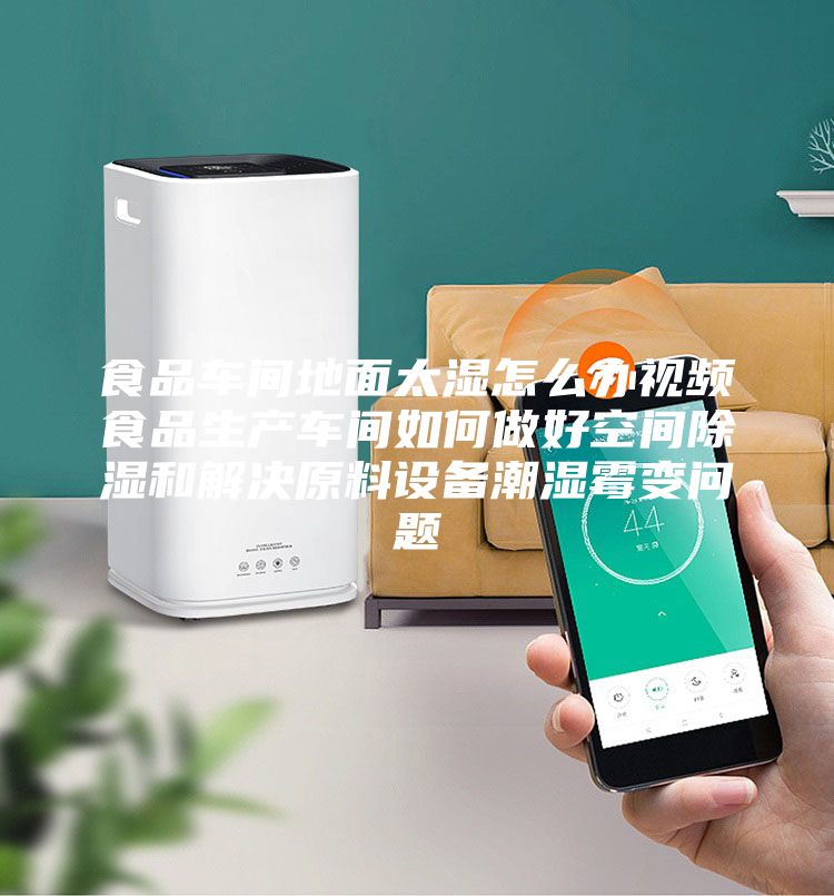 食品車間地面太濕怎么辦視頻食品生產車間如何做好空間除濕和解決原料設備潮濕霉變問題