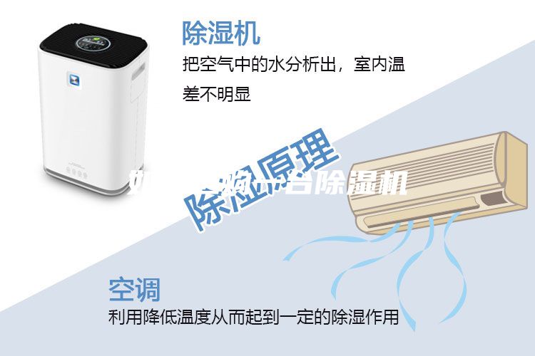 如何選購一臺除濕機