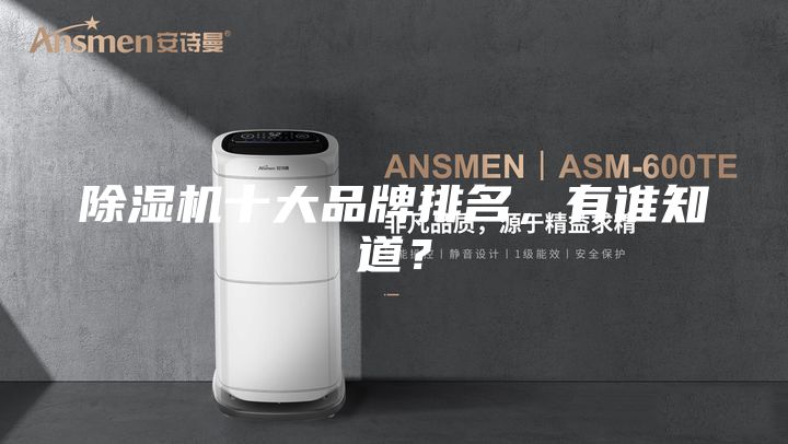 除濕機(jī)十大品牌排名，有誰(shuí)知道？