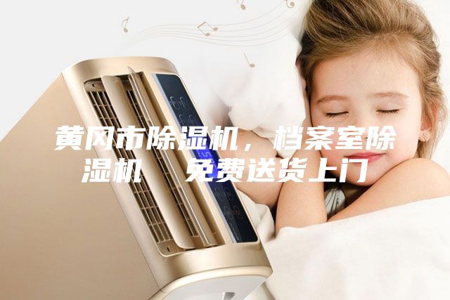 黃岡市除濕機,檔案室除濕機 免費送貨上門