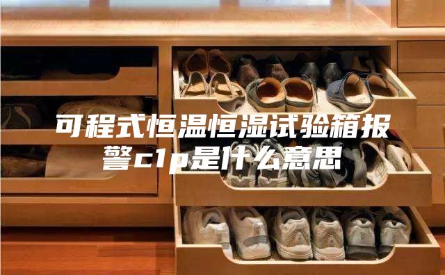 可程式恒溫恒濕試驗箱報警c1p是什么意思