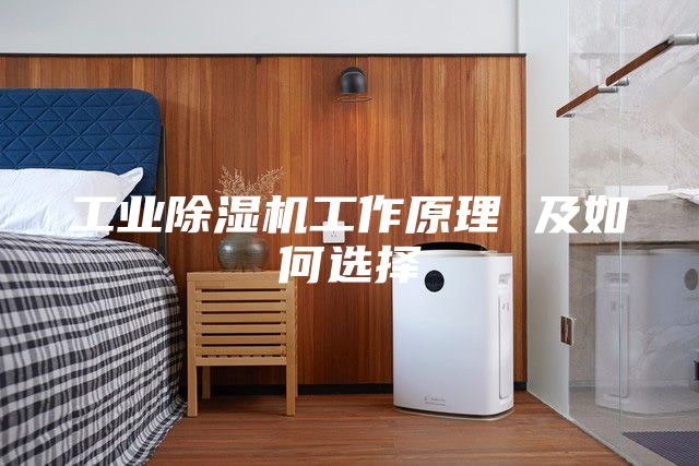 工業(yè)除濕機工作原理 及如何選擇