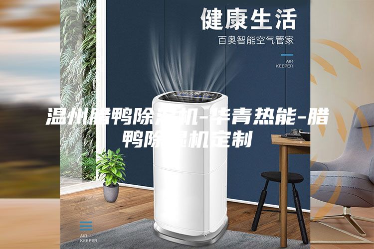 溫州臘鴨除濕機(jī)-華青熱能-臘鴨除濕機(jī)定制