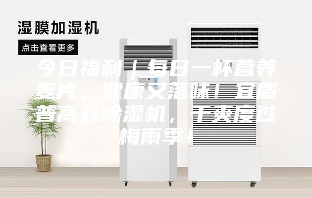 今日福利｜每日一杯營養麥片，健康又落味！宜盾普高效除濕機，干爽度過梅雨季！
