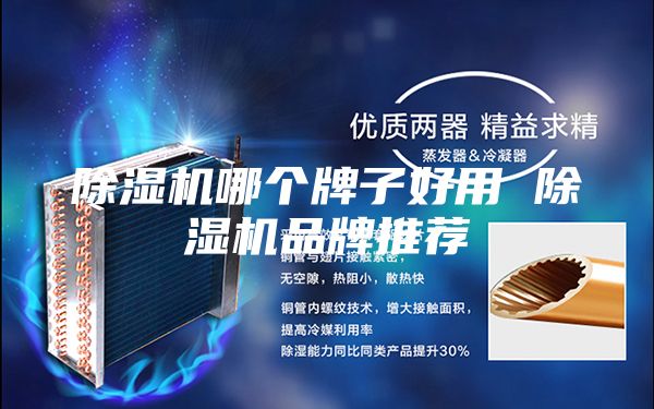 除濕機(jī)哪個(gè)牌子好用 除濕機(jī)品牌推薦